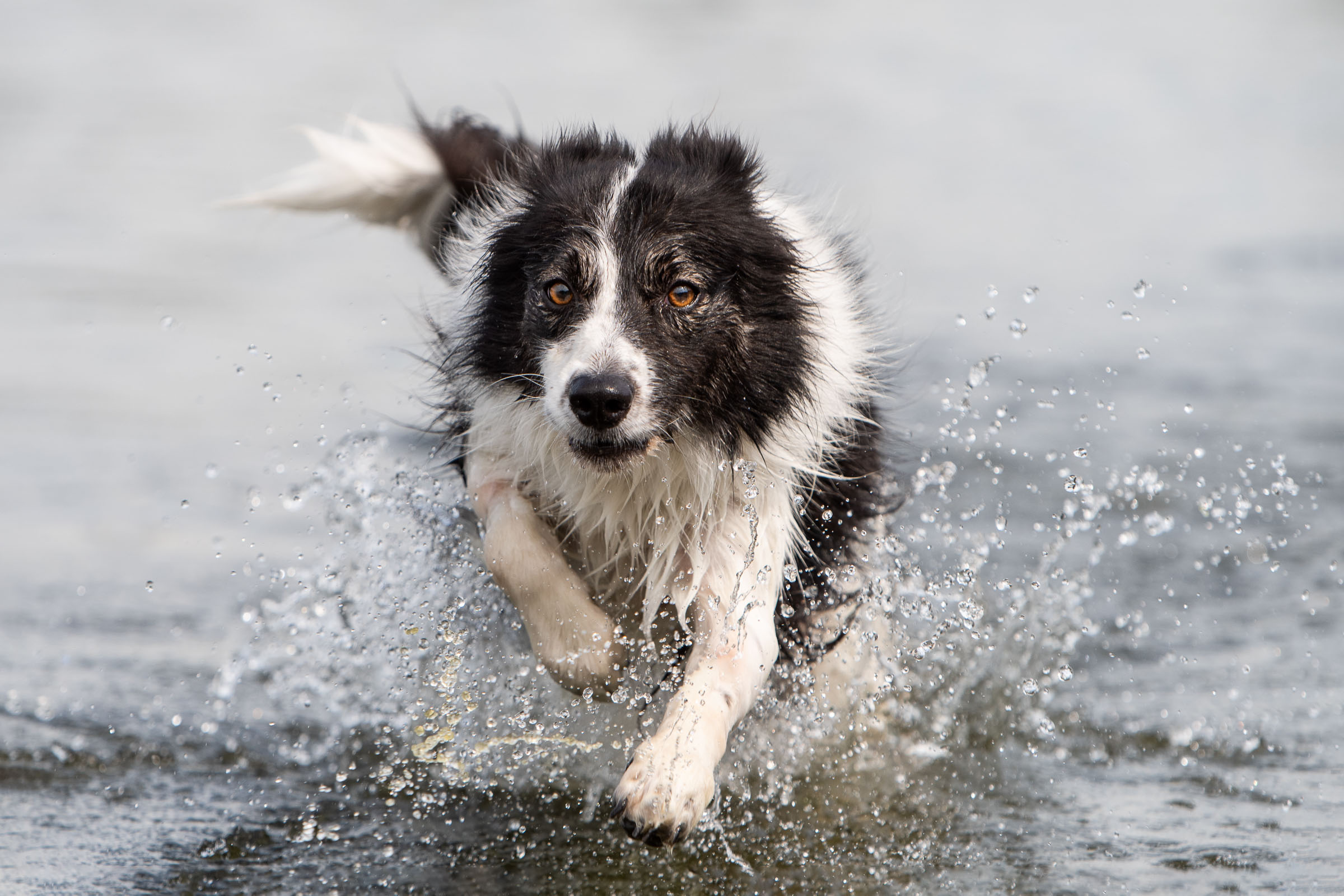 Rennen in het water